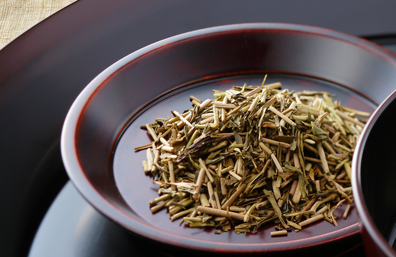ほうじ茶 狐伯