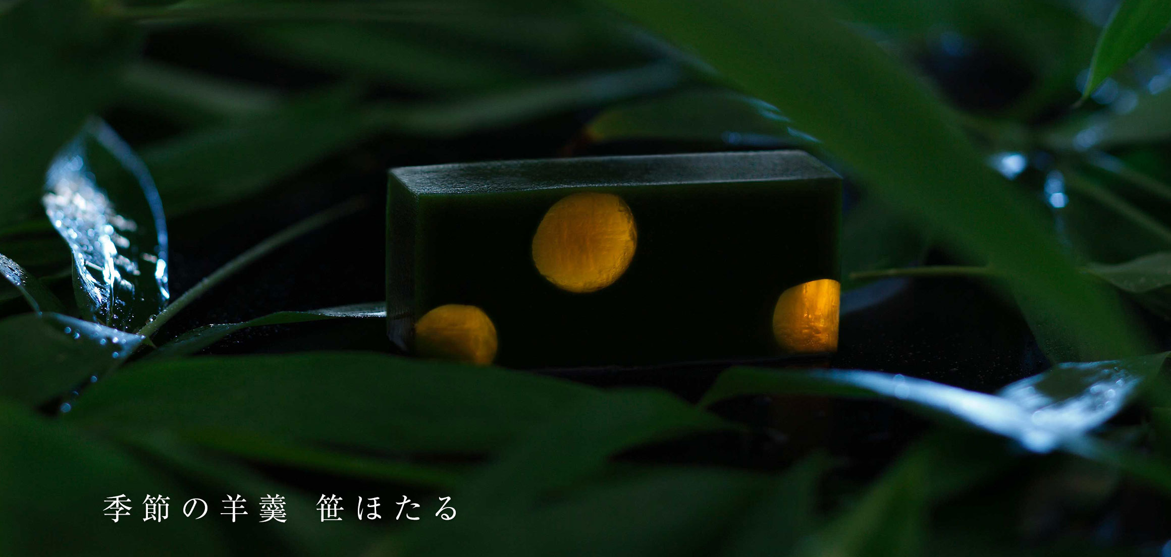 季節の羊羹 笹ほたる