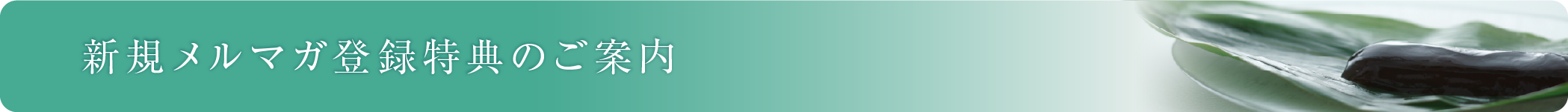 新規メルマガ登録特典のご案内